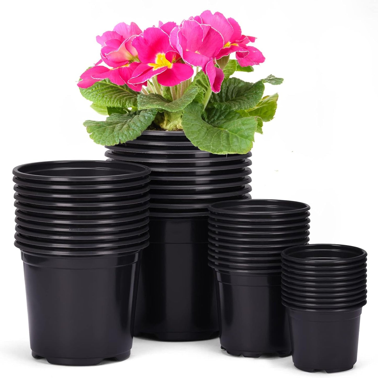 (Pack of 10) 8"Inch Round Black Color Nursery Flower Pots