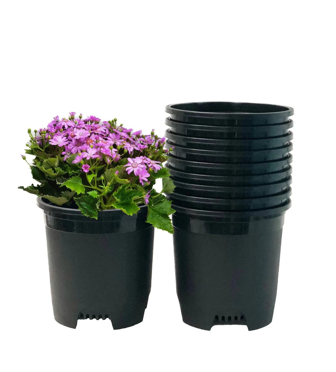 (Pack of 10) 8"Inch Round Black Color Nursery Flower Pots